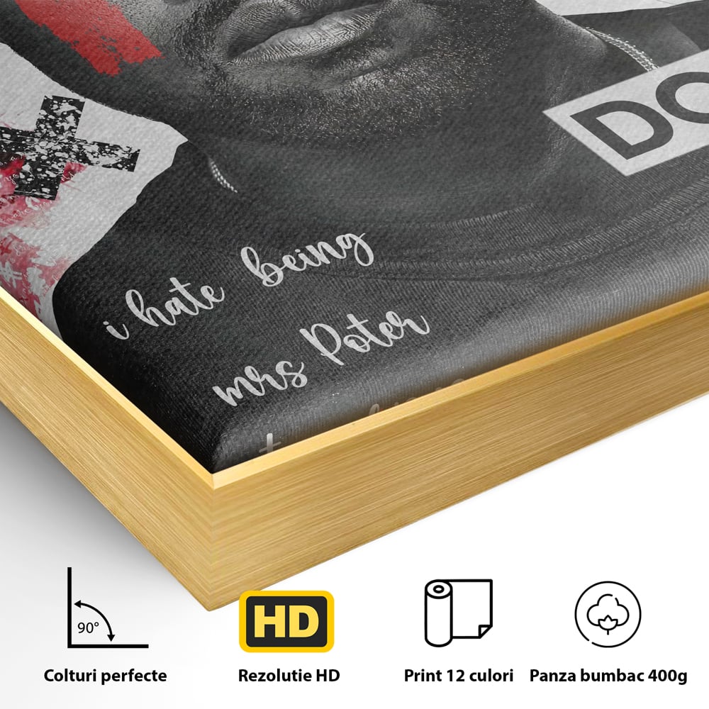 Detaliu al suprafetei: tablou canvas cu portretul stilizat al lui kanye west, in rama de aluminiu auriu